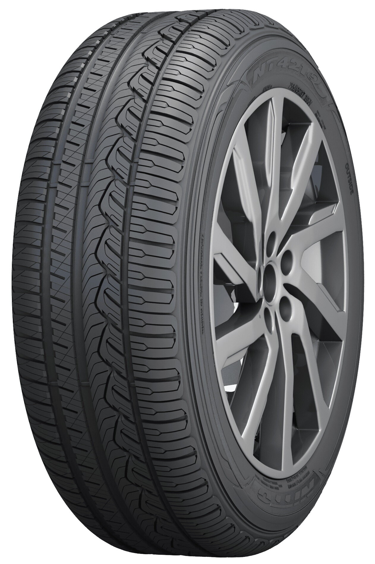 Шина Nitto NT421Q